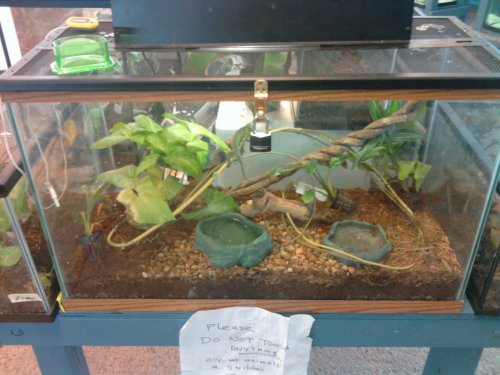 2010-08-09 15.35.00.jpg