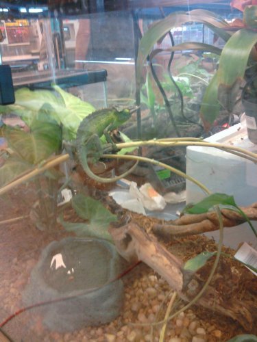 2010-08-09 15.34.51.jpg