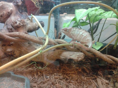 2010-08-09 15.38.09.jpg