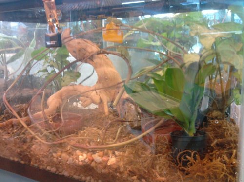 2010-08-09 15.35.09.jpg