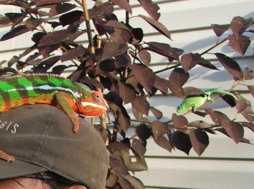 I don't know, I just woke up and the world had changed..jpg