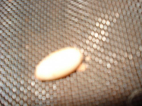 DSC01385.jpg