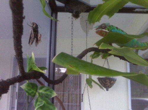 IMG00175.jpg