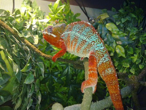 04082010069.jpg