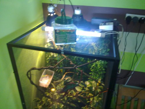 04082010065.jpg