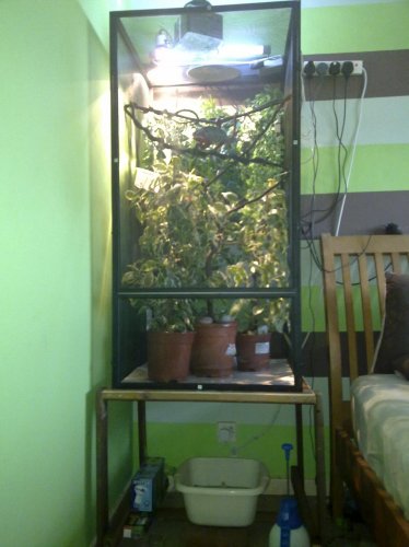 04082010063.jpg
