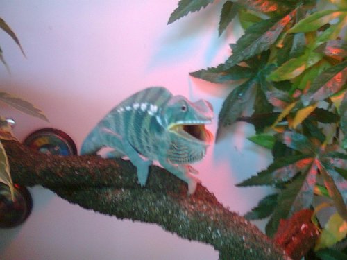 Photo0001.jpg