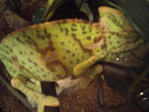 first day i had her.jpg