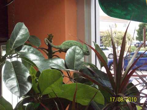 100_0536.JPG