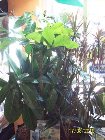100_0538.JPG