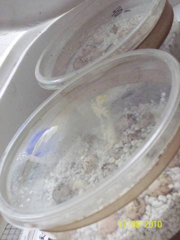 100_0540.JPG