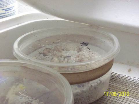 100_0541.JPG