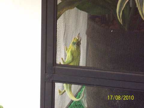 100_0542.JPG