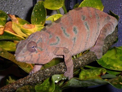 july 31 2010 pics 006.jpg