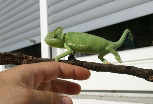 IMG_4024.JPG
