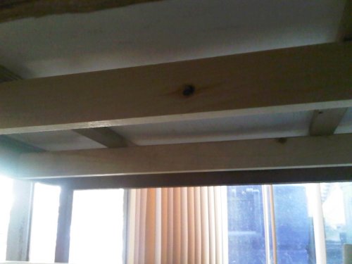 IMG00179-20100823-0851.jpg