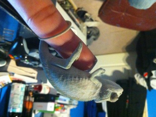 photo-9.jpg