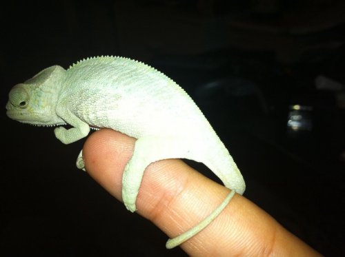 photo-10.JPG