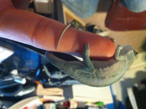 photo-11.jpg