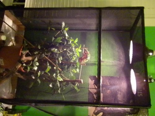 DSCN1725.jpg DSCN1725.jpg
