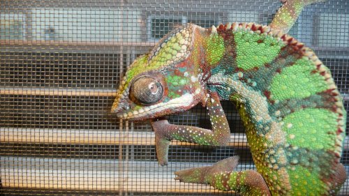 aug 31 eye problem 003.jpg