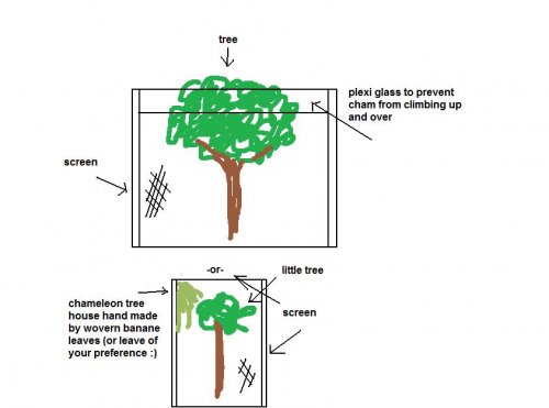 tree.jpg