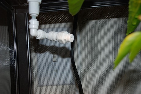 cage2.jpg