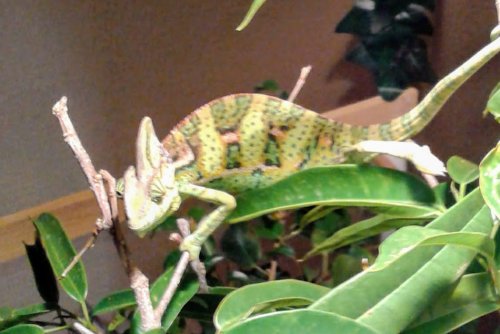Lil Squirt.1.jpg
