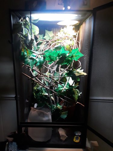20180430_202117.jpg