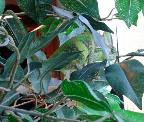 20180524_224831.jpg