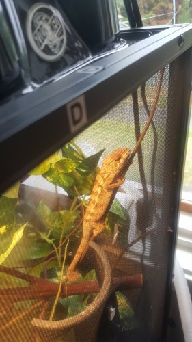 20180525_083138.jpg