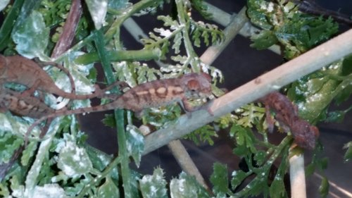20180528_104102.jpg