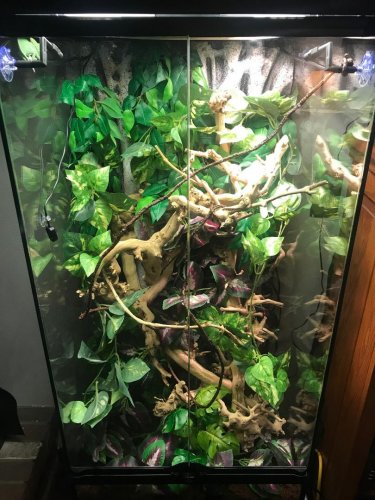Habitat_Before.jpg