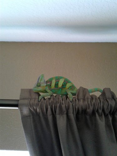 Sweet Squirt.1.jpg