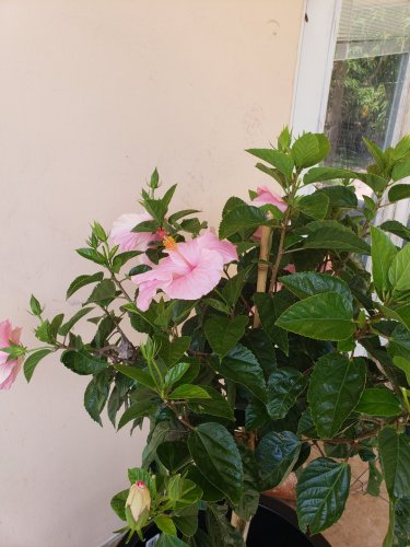 20180603_114014.jpg