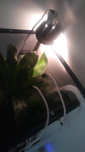 20180612_131114.jpg