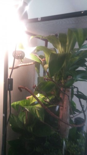 20180612_131031.jpg