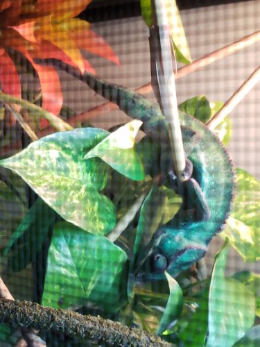 20180619_152436.jpg