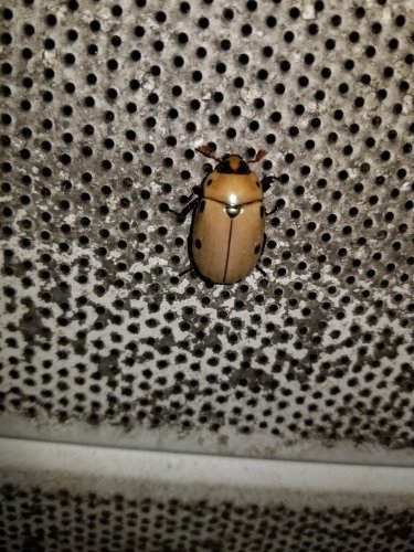 20180624_213038.jpg