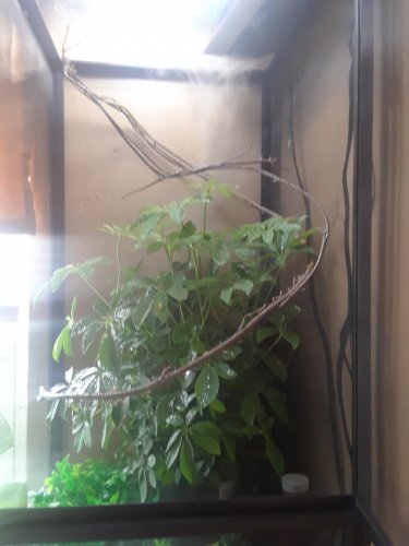20180627_084400.jpg