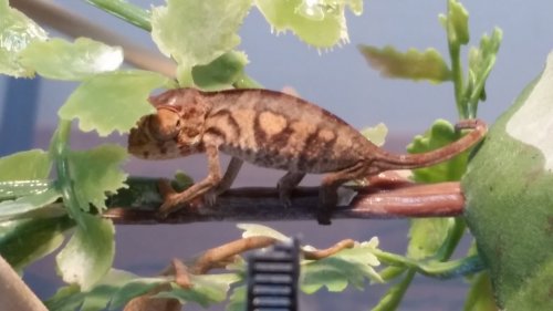 20180628_135710.jpg