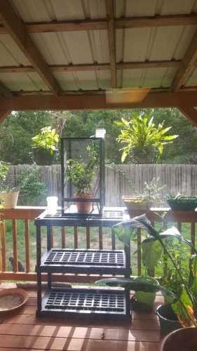 20180630_084237.jpg