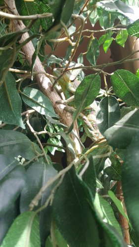 20180630_100958.jpg