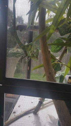 20180704_093908.jpg