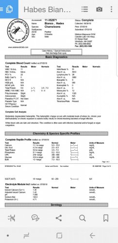 Screenshot_20180705-183219_Adobe Acrobat.jpg