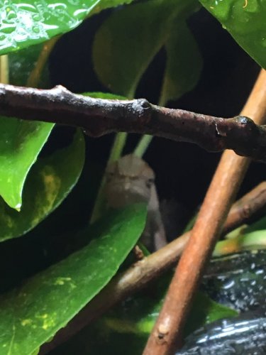 F079347F-5877-443F-BF74-215A07514B82.jpeg