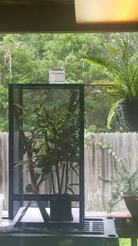20180707_101448.jpg