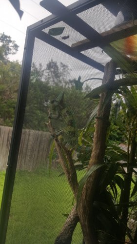 20180707_105013.jpg