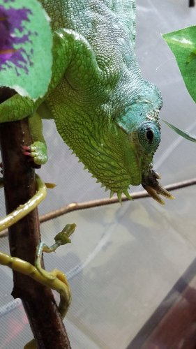 20180718_144418.jpg 20180718_144418.jpg