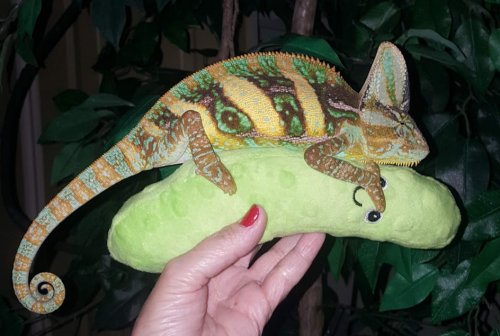 Lil Squirt loves this pickle.jpg